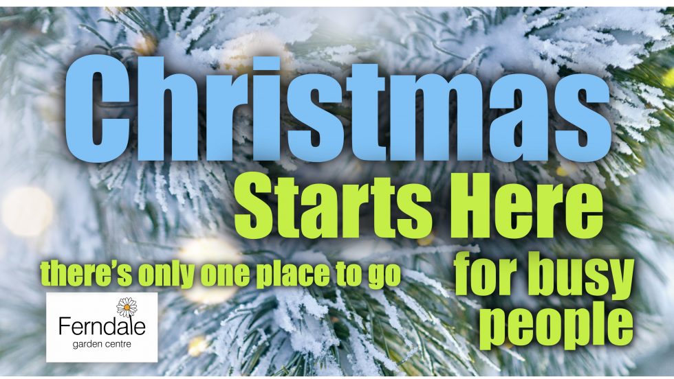 When Does Ferndale Decorate For Christmas 2022 Christmas Starts Here | New Ferndale Website Sheffield