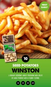 Buy Garlic Vigour Online