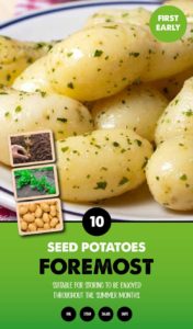 Buy Garlic Vigour Online