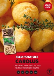 Buy 2kg Rudolph Seed Potatoes Online