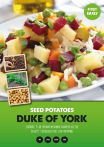 Buy 2kg Rudolph Seed Potatoes Online