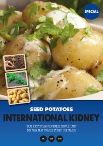 Buy 2kg Rudolph Seed Potatoes Online