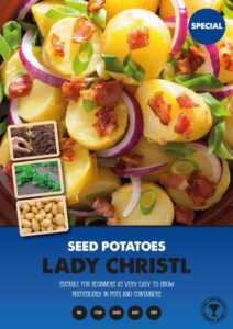 Buy 2kg Rudolph Seed Potatoes Online