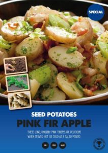 Buy 2kg Rudolph Seed Potatoes Online
