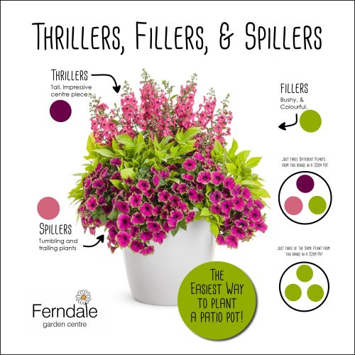 thrillers fillers spillers